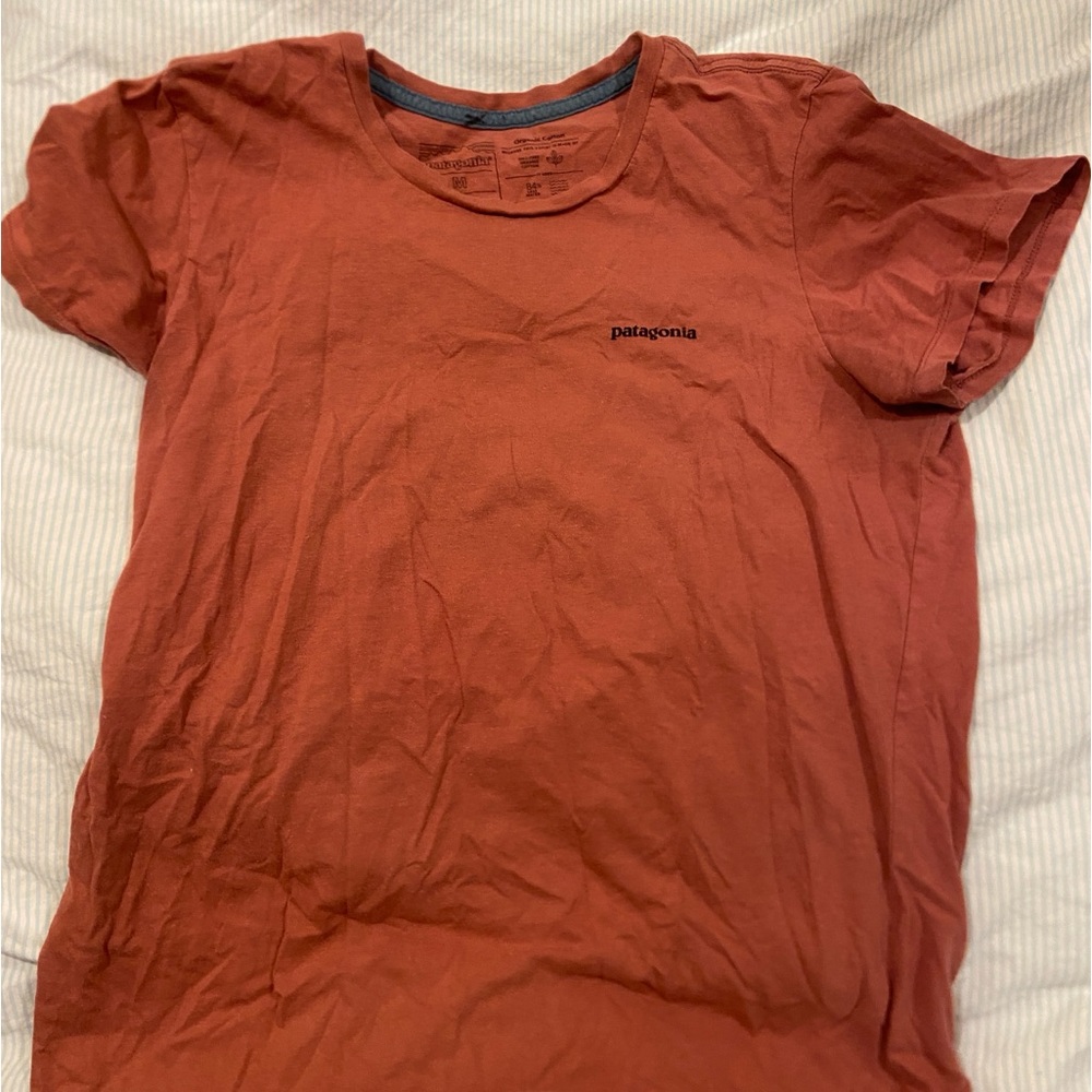 Patagonia cotton tshirt